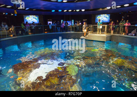 New England Aquarium, Boston, Massachusetts, Vereinigte Staaten von Amerika. Stockfoto