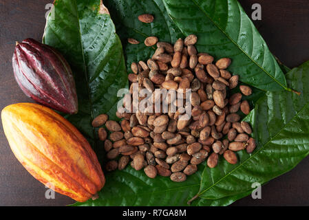 Frische kakaopflanze der Hülsen, Bohnen und Blatt auf hölzernen Tisch Stockfoto