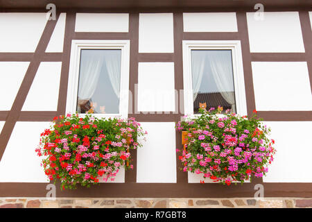 Fassade des Fachwerkhauses mit Geranien in Blumenkästen Stockfoto