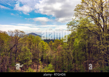 Berge sind durch die zarten Farben der knospenden Bäume im Frühling auf den Blue Ridge Parkway in Asheville, NC, USA gerahmt Stockfoto