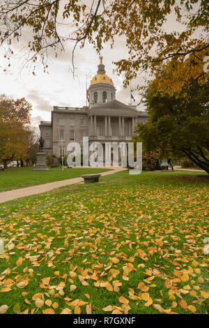 Fallen Blätter auf dem Rasen an der Landeshauptstadt Gebäude von New Hampshire an der Übereinstimmung Stockfoto