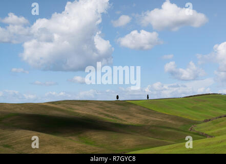 Grüne Hügel, mit Zypressen und Cloud Schatten an einem sonnigen Tag, Toskana, Italien Stockfoto