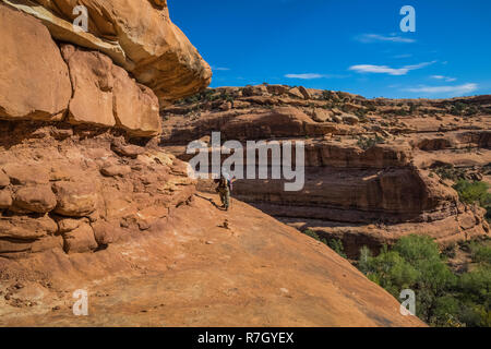 Karen Rentz wandern über Slickrock trail auf den Mond Haus Ruine auf Cedar Mesa, einst Teil der Bären Ohren National Monument, Utah, USA Stockfoto