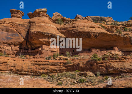 Moon House Ruin auf Cedar Mesa, einst Teil der Bären Ohren National Monument, Utah, USA Stockfoto