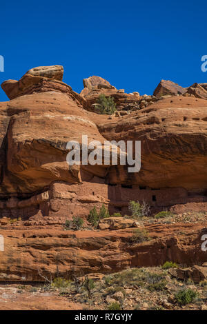 Moon House Ruin auf Cedar Mesa, einst Teil der Bären Ohren National Monument, Utah, USA Stockfoto