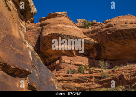 Moon House Ruin auf Cedar Mesa, einst Teil der Bären Ohren National Monument, Utah, USA Stockfoto