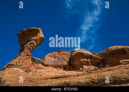 Moon House Ruin auf Cedar Mesa, einst Teil der Bären Ohren National Monument, Utah, USA Stockfoto