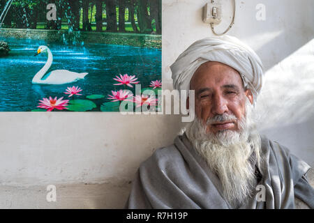 Alte Mann sitzt in einem Geschäft nahe der Blauen Moschee mit einem Bild von einem Schwan auf einem Teich im Hintergrund, Herat, Provinz Herat, Afghanistan Stockfoto