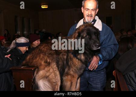 New York, NY, USA. 9. Dez 2018. Das 7. jährliche "Segen der Tiere" Zeremonie wurde an der Christ Church auf der Park Avenue am 9. Dezember 2018. Der Segen beinhaltet eine Prozession von Tieren, die den Altar. Die Veranstaltung bietet individuelle Segnungen für alle Arten von Haustieren, darunter Hunde, Hasen, Meerschweinchen, Tiere und vieles mehr. Alle Tiere sind willkommen und dürfen von ihren Besitzern begleitet werden. Die Veranstaltung wird von Cindy Adams, Kolumnist bei der New York Post organisiert, und Christus Kirche. Credit: 2018 G. Ronald Lopez/DigiPixsAgain. us/Alamy leben Nachrichten Stockfoto