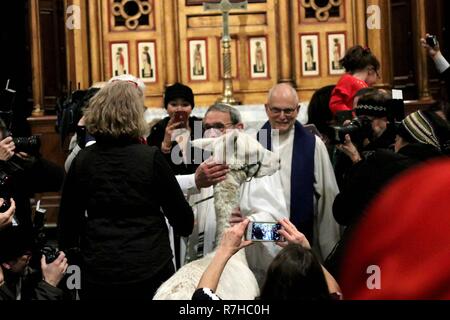 New York City, New York, USA. 9 Dez, 2018. Das 7. jährliche "Segen der Tiere'' Zeremonie wurde an der Christ Church auf der Park Avenue am 9. Dezember 2018. Der Segen beinhaltet eine Prozession von Tieren, die den Altar. Die Veranstaltung bietet individuelle Segnungen für alle Arten von Haustieren, darunter Hunde, Hasen, Meerschweinchen, Tiere und vieles mehr. Alle Tiere sind willkommen und dürfen von ihren Besitzern begleitet werden. Die Veranstaltung wird von Cindy Adams, Kolumnist bei der New York Post organisiert, und Christus Kirche. Credit: G. Ronald Lopez/ZUMA Draht/Alamy leben Nachrichten Stockfoto