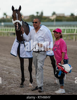 Hallandale Beach, Florida, USA. 8 Dez, 2018. Dezember 8, 2018: #2 Mishegas und Irad Ortiz, Jr., an Bord für Puerto Rico, gewinnen die International Cup Einsätze (schwarz Art) während der Classic del Caribe bei Gulfstream Park am 8. Dezember 2018 in Hallandale Beach, FL. (Foto von Carson Dennis/Eclipse Sportswire/CSM) Credit: Csm/Alamy leben Nachrichten Stockfoto