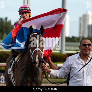 Hallandale Beach, Florida, USA. 8 Dez, 2018. Dezember 8, 2018: #2 Mishegas und Irad Ortiz, Jr., an Bord für Puerto Rico, gewinnen die International Cup Einsätze (schwarz Art) während der Classic del Caribe bei Gulfstream Park am 8. Dezember 2018 in Hallandale Beach, FL. (Foto von Carson Dennis/Eclipse Sportswire/CSM) Credit: Csm/Alamy leben Nachrichten Stockfoto