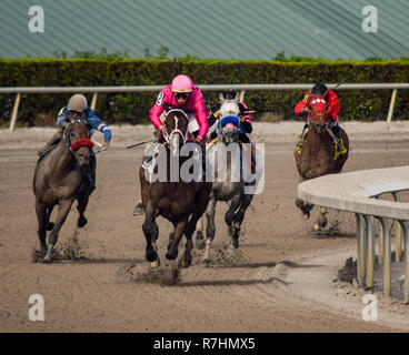 Hallandale Beach, Florida, USA. 8 Dez, 2018. Dezember 8, 2018: #2 Mishegas und Irad Ortiz, Jr., an Bord für Puerto Rico, gewinnen die International Cup Einsätze (schwarz Art) während der Classic del Caribe bei Gulfstream Park am 8. Dezember 2018 in Hallandale Beach, FL. (Foto von Damon Belastung/Eclipse Sportswire/CSM) Credit: Csm/Alamy leben Nachrichten Stockfoto