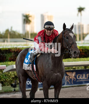 Hallandale Beach, Florida, USA. 8 Dez, 2018. Dezember 8, 2018: #3 Kukulkan (MEX) erhält Anerkennung von Jockey Irad Ortiz, Jr. nach ihrem Gewinn in der Karibik Cup Classic Stakes (schwarz Art) während der Classic del Caribe bei Gulfstream Park am 8. Dezember 2018 in Hallandale Beach, FL. (Foto von Carson Dennis/Eclipse Sportswire/CSM) Credit: Csm/Alamy leben Nachrichten Stockfoto