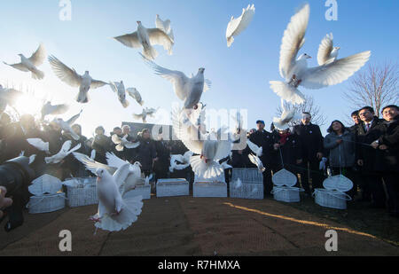 Toronto, Kanada. 9 Dez, 2018. Menschen release weiße Tauben während der enthüllungsfeier der Nanjing Massaker Opfer Monument an der Elgin Mühlen Friedhof in Richmond Hill, Ontario, Kanada, Dez. 9, 2018. Um die Geschichte des Zweiten Weltkrieges zu erinnern und einen dauerhaften Frieden in der Welt, friedliebenden Menschen offiziell das Nanjing Blutbad Denkmal in Ontario, Kanada am Sonntag gestartet. Credit: Zou Zheng/Xinhua/Alamy leben Nachrichten Stockfoto