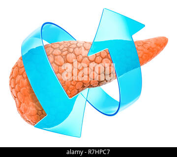 Die menschliche Bauchspeicheldrüse mit Pfeilen. Behandlung und Verwertung Konzept. 3D-Rendering auf weißem Hintergrund Stockfoto
