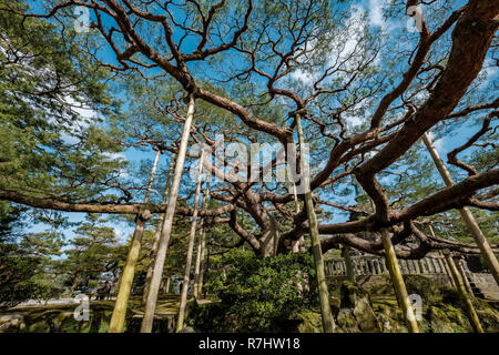 Landschaft rund um kenrokuen Garten einer der schönsten Landschaftsgärten, Suchen Kanazawa City, Japan Stockfoto