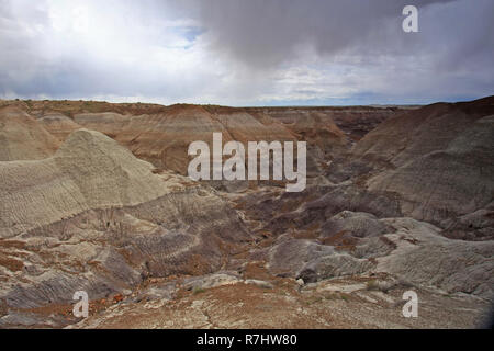 Badlands der Painted Desert im Rahmen einer Versammlung regen Sturm im Petrified Forest National Park, Arizona. Stockfoto