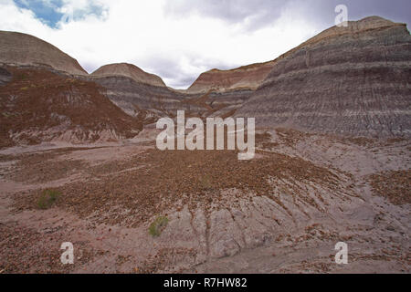 Badlands der Painted Desert im Rahmen einer Versammlung regen Sturm im Petrified Forest National Park, Arizona. Stockfoto