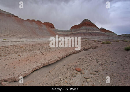 Badlands der Painted Desert im Rahmen einer Versammlung regen Sturm im Petrified Forest National Park, Arizona. Stockfoto