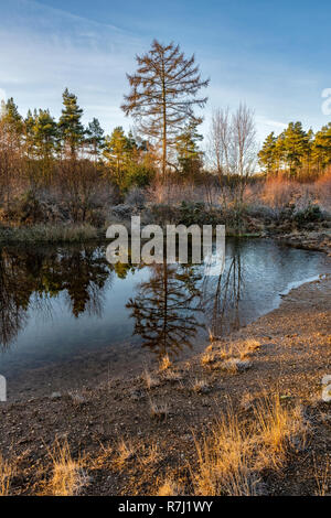 Cleddon Naturpark Moor in der Nähe von Trellech. Stockfoto