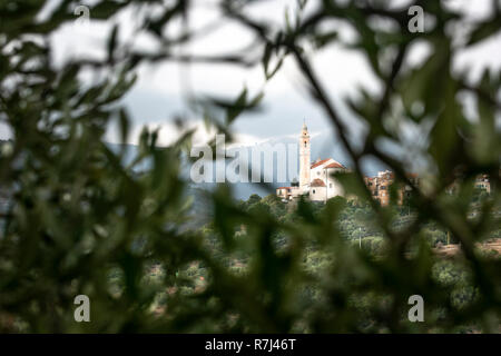 Alten ligurischen Kirche Blick durch Olivenbaum Zweige Stockfoto