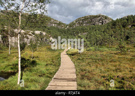 Norwegen, Rogaland County. Trail zum berühmten Preikestolen. Boardwalk in einem Sumpf. Stockfoto