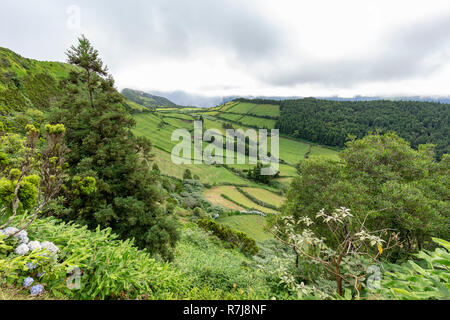 Weideland bis zur Caldeira Do Alferes auf der Insel Sao Miguel auf den Azoren. Stockfoto
