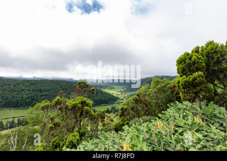 Lebendigen Grüns in der massiven Cete Cidades Krater auf Sao Miguel. Stockfoto