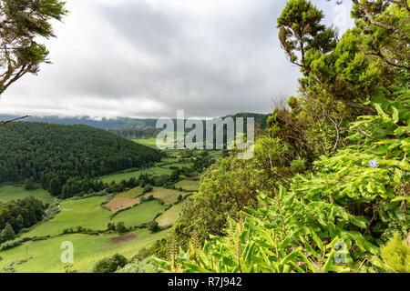 Üppige Pflanzen auf den Rand des Sete Cidades Caldera der Azoren Insel Sao Miguel. Stockfoto