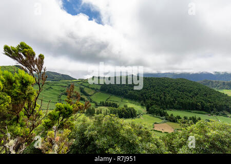 Bäume und Wiesen und Weiden, die bis an den Rand des Alferes Caldera in Sao Miguel. Stockfoto