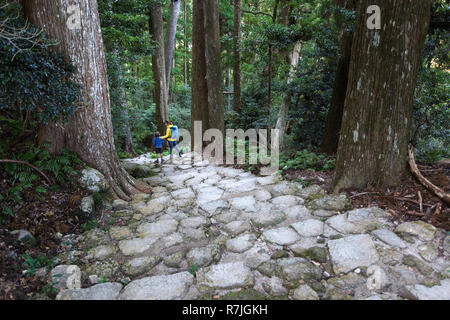 Mutter und Sohn wandern die Kumano Kodo bei Daimon-zaka, einem heiligen Trail als UNESCO-Weltkulturerbe im Nachi, Wakayama, Japan bezeichnet. Stockfoto