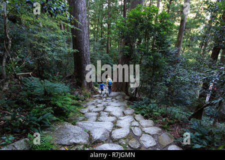 Mutter und Sohn wandern die Kumano Kodo bei Daimon-zaka, einem heiligen Trail als UNESCO-Weltkulturerbe im Nachi, Wakayama, Japan bezeichnet. Stockfoto