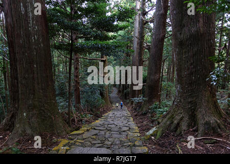 Mutter und Sohn wandern die Kumano Kodo bei Daimon-zaka, einem heiligen Trail als UNESCO-Weltkulturerbe im Nachi, Wakayama, Japan bezeichnet. Stockfoto