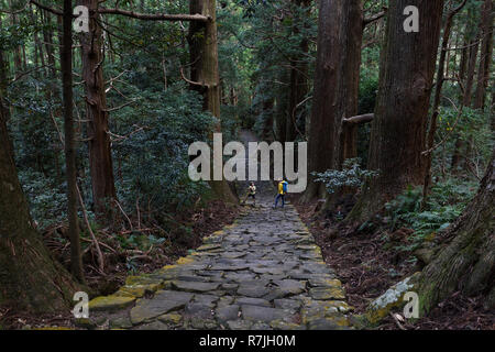 Mutter und Sohn wandern die Kumano Kodo bei Daimon-zaka, einem heiligen Trail als UNESCO-Weltkulturerbe im Nachi, Wakayama, Japan bezeichnet. Stockfoto