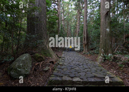 Mutter und Sohn wandern die Kumano Kodo bei Daimon-zaka, einem heiligen Trail als UNESCO-Weltkulturerbe im Nachi, Wakayama, Japan bezeichnet. Stockfoto