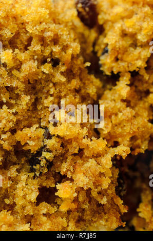 Essen Hintergrund. Close Up (Makro) von Krümelig Möhren und Rosinen kuchen Textur. Stockfoto