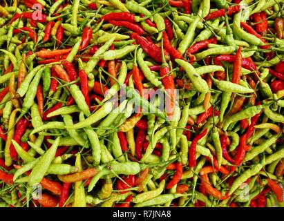 Rote und grüne Chili Papiere. Scharfes Essen Zutaten. Bunte essen. Stockfoto