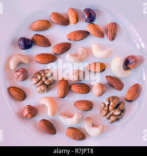 Nüsse, Mandeln, Haselnüsse, Walnüsse, Cashewnüsse auf einem weißen Teller. Gesunde organische Snacks, Frühstück, Food Ingredients. Flach Top-Down-Zusammensetzung. Pu Stockfoto