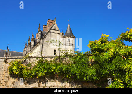 Chateau de Amboise mittelalterlichen Burg, Loire Tal, Frankreich. Weltkulturerbe der UNESCO Stockfoto