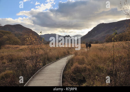 Menschen gehen auf einem Duckboard-Pfad in Borrowdale mit Castle Crag in der Ferne, Lake District National Park, Cumbria, England, Großbritannien Stockfoto