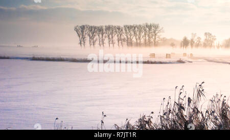 Super nette, gemütliche Winterlandschaft in den Niederlanden entlang der alten Kaimauer Schnee, Eis und Nebel Stockfoto