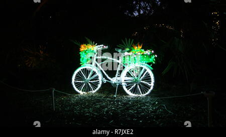 Fahrrad mit fairy christmas lights am schwarzen Nacht mit wunderschönen Blumen und Pflanzen in den Warenkorb isoliert eingerichtet Stockfoto