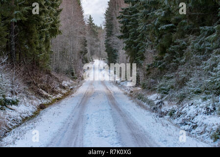Eine gerade Straße durch eine schwedische Wald im Dezember 2018 mit Eis und Schnee auf Sie Stockfoto