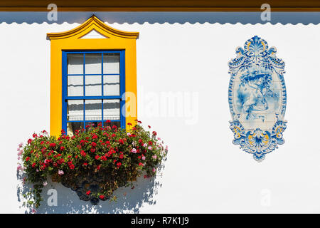 Azulejo, eine Verkleidung der glasierten Fliesen auf einem Haus, Aveiro, Region Centro, Portugal Stockfoto