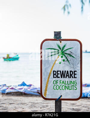 Vorsicht vor fallende Kokosnüsse Zeichen auf einem Strand in Ko Tao, Thailand Stockfoto