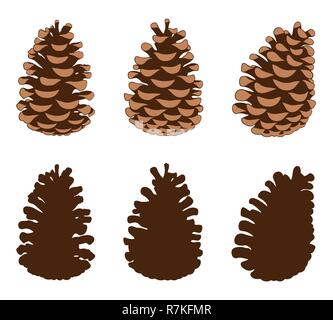 Gruppe von verschiedenen Tannenzapfen isoliert auf weißem Stock Vektor