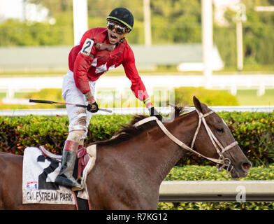 Hallandale Beach, Florida, USA. 8 Dez, 2018. Dezember 8, 2018: #2 Jala Jala (MEX) und Irad Ortiz, Jr. Gewinnen der Karibik Cup Bruderschaft Stakes (schwarz Art) während der Classic del Caribe bei Gulfstream Park am 8. Dezember 2018 in Hallandale Beach, FL. (Foto von Carson Dennis/Eclipse Sportswire/CSM) Credit: Csm/Alamy leben Nachrichten Stockfoto