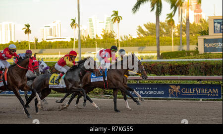 Hallandale Beach, Florida, USA. 8 Dez, 2018. Dezember 8, 2018: #3 Kukulkan (MEX) und Irad Ortiz, Jr. klicken Sie auf die Leitung in der Karibik Cup Classic Stakes (schwarz Art) während der Classic del Caribe bei Gulfstream Park am 8. Dezember 2018 in Hallandale Beach, FL. (Foto von Carson Dennis/Eclipse Sportswire/CSM) Credit: Csm/Alamy leben Nachrichten Stockfoto