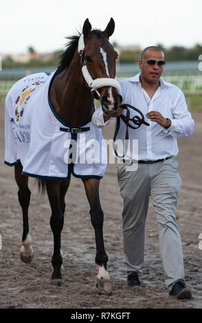 Hallandale Beach, Florida, USA. 8 Dez, 2018. Dezember 8, 2018: #2 Mishegas und Irad Ortiz, Jr., an Bord für Puerto Rico, gewinnen die International Cup Einsätze (schwarz Art) während der Classic del Caribe bei Gulfstream Park am 8. Dezember 2018 in Hallandale Beach, FL. (Foto von Carson Dennis/Eclipse Sportswire/CSM) Credit: Csm/Alamy leben Nachrichten Stockfoto